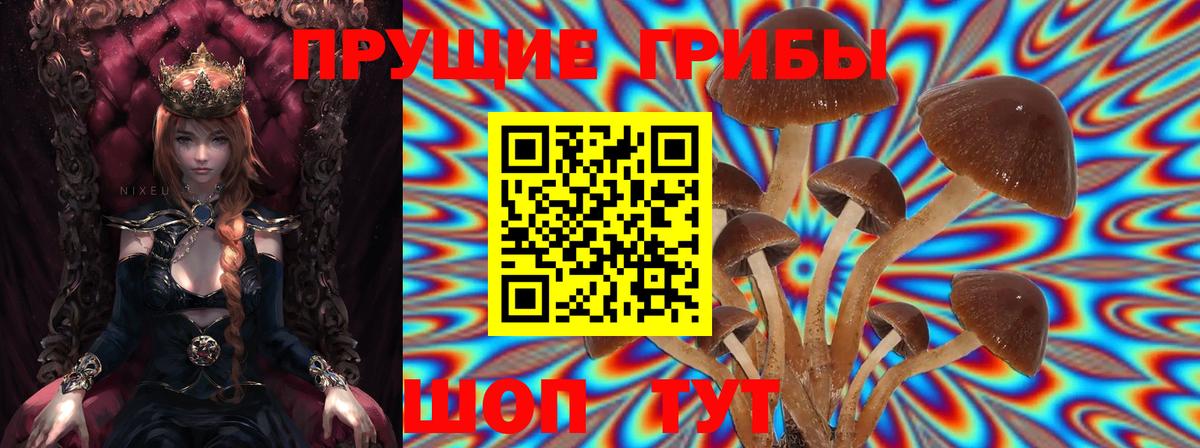 Псилоцибиновые грибы Cubensis Рубцовск